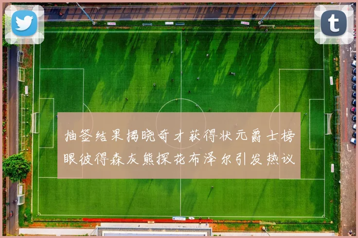 抽签结果揭晓奇才获得状元爵士榜眼彼得森灰熊探花布泽尔引发热议