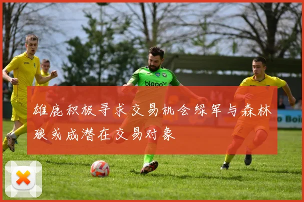 雄鹿积极寻求交易机会绿军与森林狼或成潜在交易对象