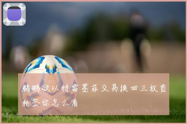 鹈鹕欲以特雷墨菲交易换回三枚首轮签你怎么看